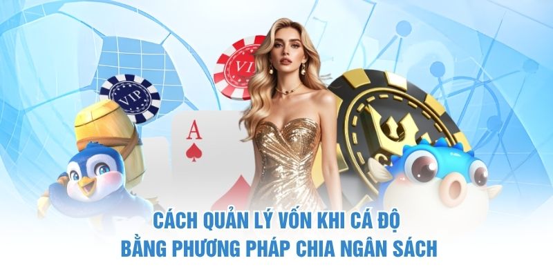 Cách quản lý vốn khi cá độ bằng phương pháp chia ngân sách
