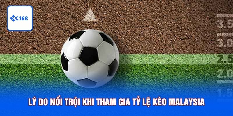 Lý do nổi trội khi tham gia tỷ lệ kèo Malaysia